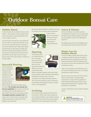 Bonsái Brussel's DT4002GMJ Junípero Mound Verde Grande