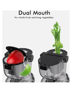 Exprimidor SIFENE Prensa en Frío 800ml Doble Entrada Rojo 2