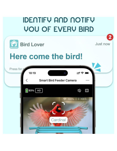 Comedero Inteligente BROAIMX con Cámara 1080P y Solar