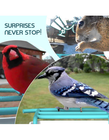 Comedero Inteligente BROAIMX con Cámara 1080P y Solar