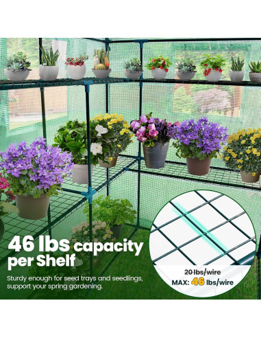 Invernadero KING BIRD 3 Niveles 14 Estantes Verde 142x142x196cm