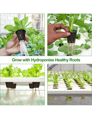 50PCS Macetas de Malla HXSEMAYIG 5.08cm Hidropónicas