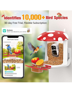 Comedero Inteligente PeckCam con Cámara 2K y Solar 2