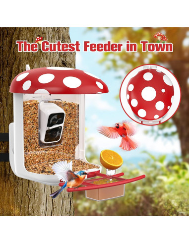 Comedero Inteligente PeckCam con Cámara 2K y Solar