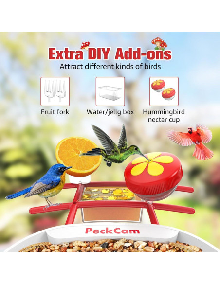 Comedero Inteligente PeckCam con Cámara 2K y Solar