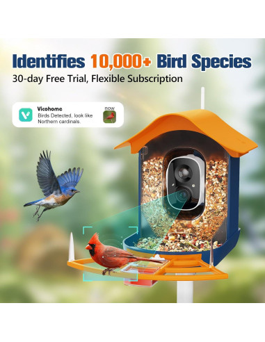 Comedero Inteligente PeckCam con Cámara 2K y Panel Solar