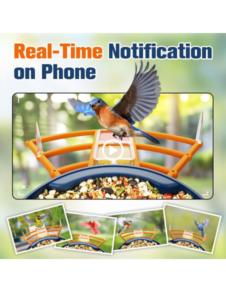 Comedero Inteligente PeckCam con Cámara 2K y Panel Solar