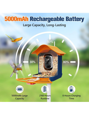 Comedero Inteligente PeckCam con Cámara 2K y Panel Solar