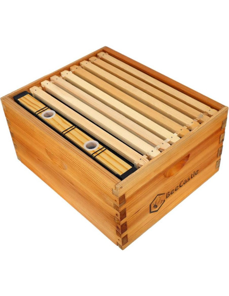 Alimentador de Colmena BeeCastle 2 Piezas 3.3L Seguro