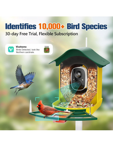 Comedero Inteligente PeckCam con Cámara 2K y Panel Solar