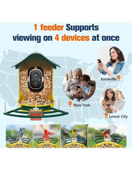 Comedero Inteligente PeckCam con Cámara 2K y Panel Solar