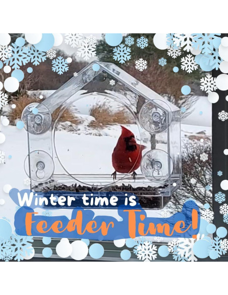 Comedero para Aves de Ventana Nature Anywhere - Acrílico 425g