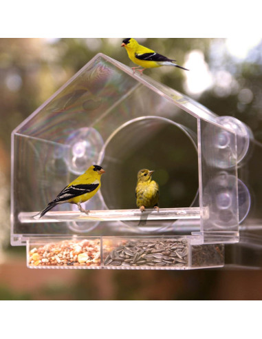 Comedero para Aves de Ventana Nature Anywhere - Acrílico 425g