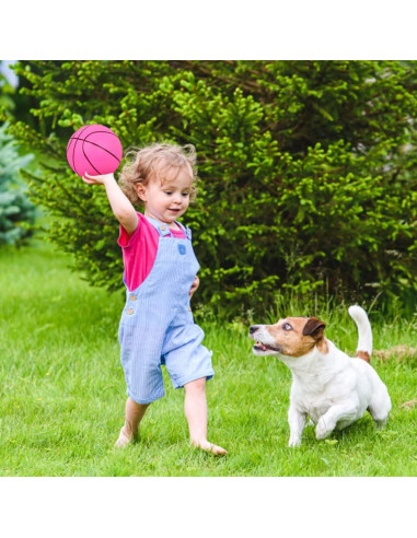 24 Mini Balones de Baloncesto 5" Airsnigi con Bomba