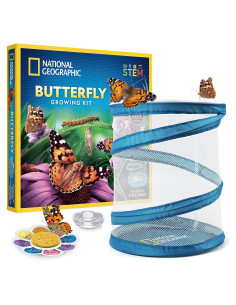 Kit de Crecimiento de Mariposas National Geographic - 5 Orugas