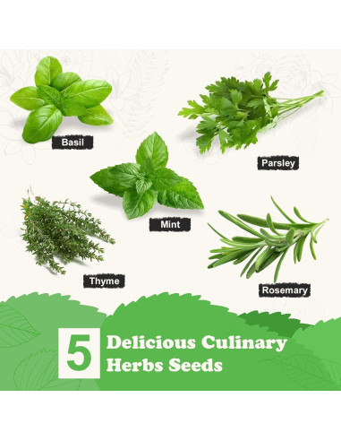 Kit de Jardín de Hierbas Meekear - 5 Semillas y Accesorios