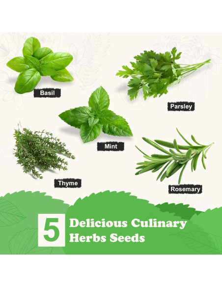 Kit de Jardín de Hierbas Meekear - 5 Semillas y Accesorios