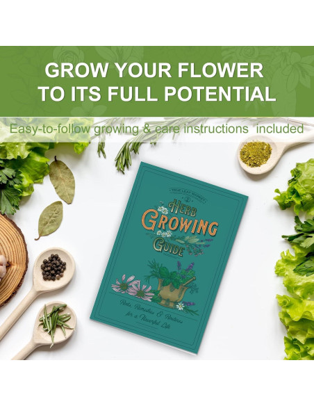 Kit de Jardín de Hierbas Meekear - 5 Semillas y Accesorios