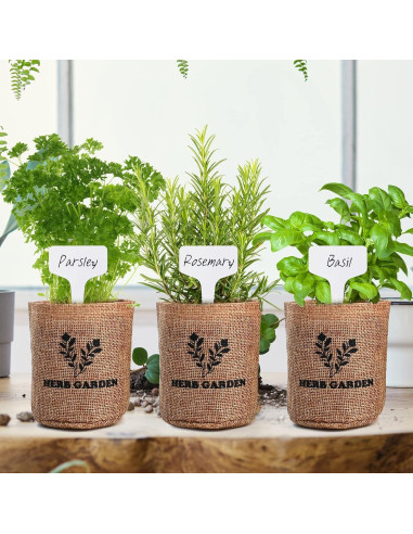 Kit de Jardín de Hierbas Meekear - 5 Semillas y Accesorios