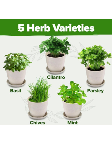 Kit de Jardín de Hierbas - HOME GROWN - 5 Especies