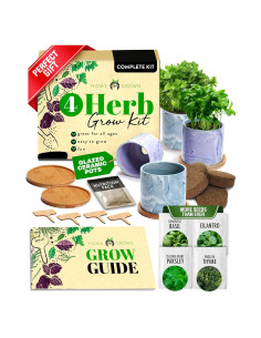 Kit de Jardín de Hierbas Interiores HOME GROWN - 4 Macetas Cerámicas