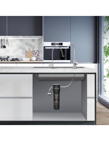 Filtro de agua bajo fregadero Waterdrop WD-10UB, reduce PFAS y plomo