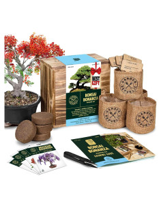 Kit de Inicio Bonsai Garden Republic - 4 Semillas, Tijeras, Tierra