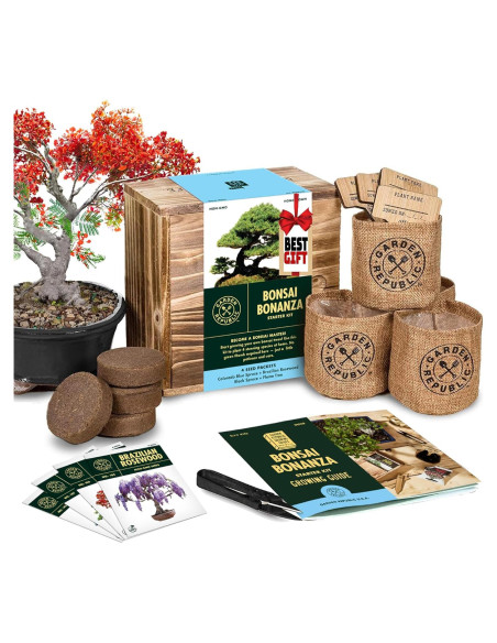 Kit de Inicio Bonsai Garden Republic - 4 Semillas, Tijeras, Tierra