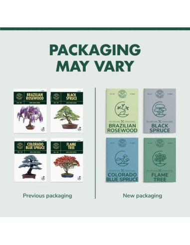 Kit de Inicio Bonsai Garden Republic - 4 Semillas, Tijeras, Tierra