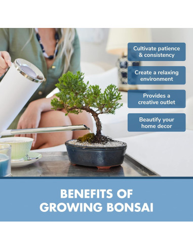 Kit de Inicio Bonsai Garden Republic - 4 Semillas, Tijeras, Tierra