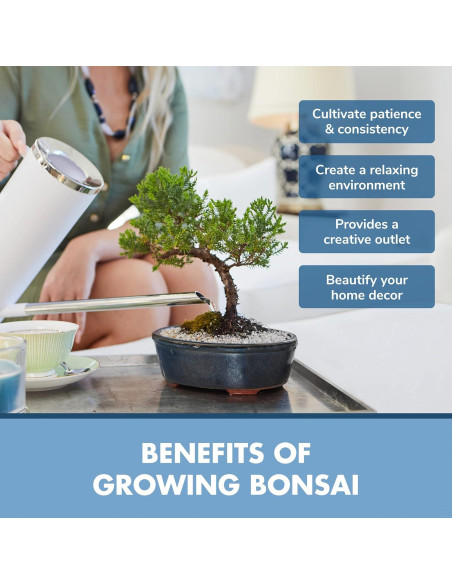 Kit de Inicio Bonsai Garden Republic - 4 Semillas, Tijeras, Tierra