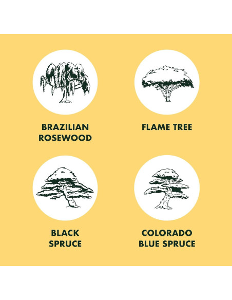 Kit de Inicio Bonsai Garden Republic - 4 Semillas, Tijeras, Tierra