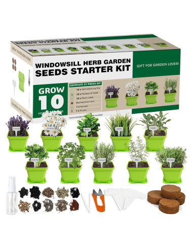 Kit de Jardín de 10 Semillas de Hierbas Meekear Verde