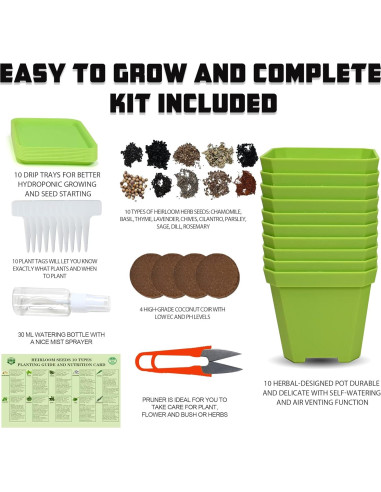 Kit de Jardín de 10 Semillas de Hierbas Meekear Verde