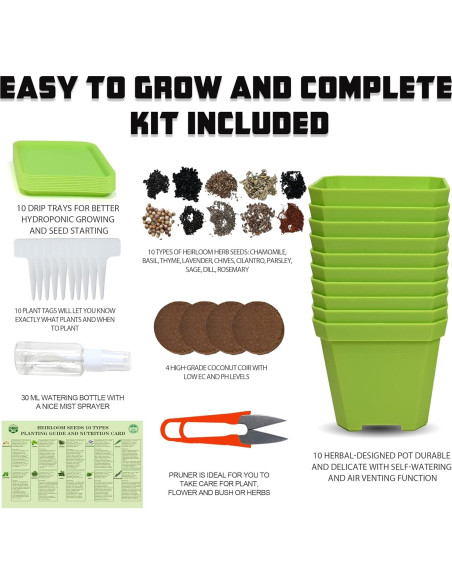 Kit de Jardín de 10 Semillas de Hierbas Meekear Verde