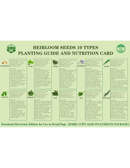 Kit de Jardín de 10 Semillas de Hierbas Meekear Verde