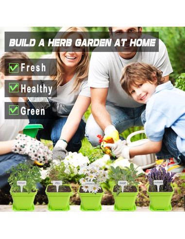 Kit de Jardín de 10 Semillas de Hierbas Meekear Verde