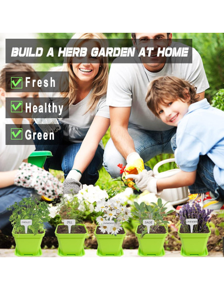 Kit de Jardín de 10 Semillas de Hierbas Meekear Verde