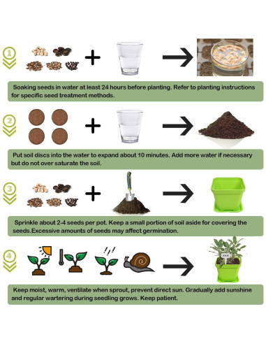 Kit de Jardín de 10 Semillas de Hierbas Meekear Verde