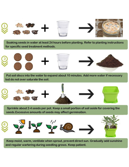 Kit de Jardín de 10 Semillas de Hierbas Meekear Verde