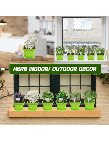 Kit de Jardín de 10 Semillas de Hierbas Meekear Verde