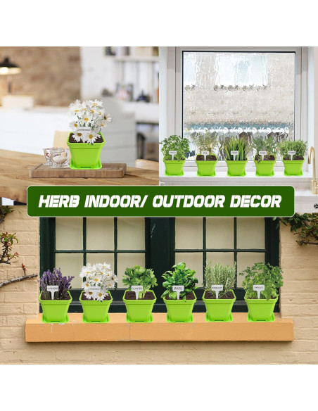 Kit de Jardín de 10 Semillas de Hierbas Meekear Verde