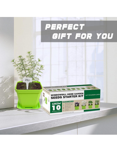 Kit de Jardín de 10 Semillas de Hierbas Meekear Verde