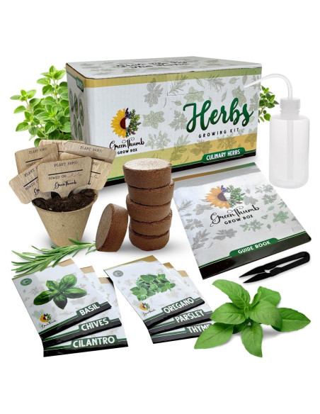 Kit de Jardín de Hierbas Green Thumb 6 Semillas y Macetas