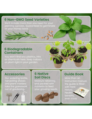 Kit de Jardín de Hierbas Green Thumb 6 Semillas y Macetas