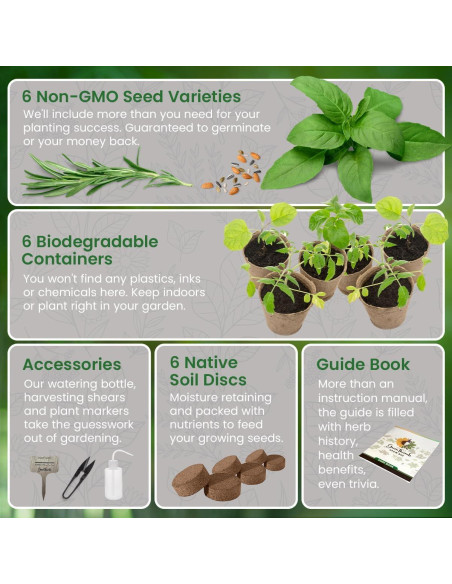 Kit de Jardín de Hierbas Green Thumb 6 Semillas y Macetas