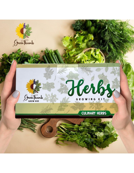 Kit de Jardín de Hierbas Green Thumb 6 Semillas y Macetas