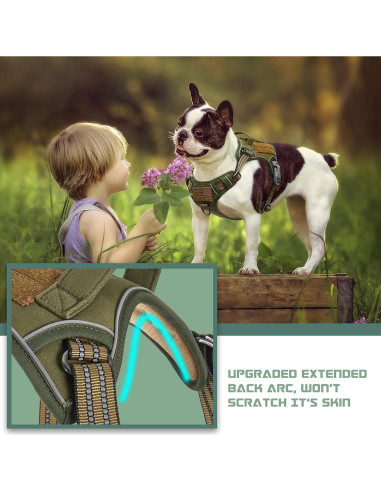 Arnés Táctico BUMBIN Verde M Ajustable Sin Tirones