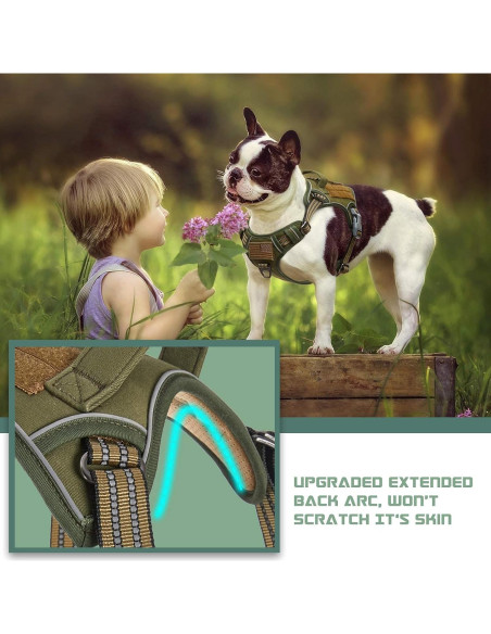 Arnés Táctico BUMBIN Verde M Ajustable Sin Tirones