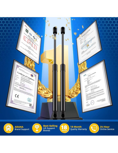 Amortiguadores de Ventana Trasera ARANA para Ford Escape 2008-2012